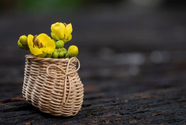 Siyam senna dalı yeşil yapraklar ve çiçekler doğanın arka planında. 