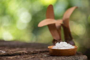 Borneolum Sentetik, beyaz kristal ve kurumuş Yang meyveleri doğa arka planında.