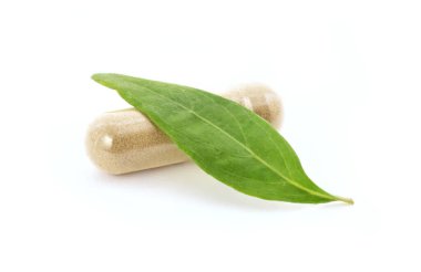 Kariyer ya da andrografide panikleme, yeşil yaprak ve kapsül beyaz arka planda izole..