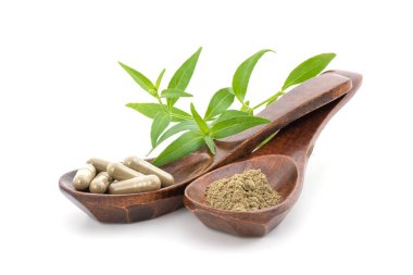 Kariyer ya da andrografi kapsüllerde panikleme tozu ve beyaz arka planda izole yeşil yapraklar..