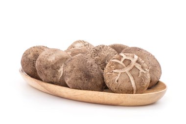 Beyaz arka planda izole edilmiş taze shiitake mantarı..