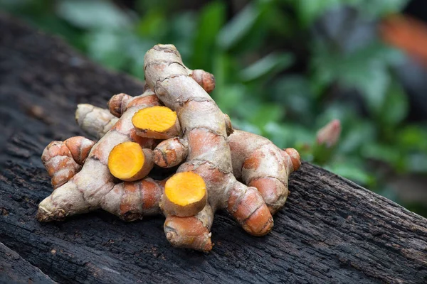 Kurkuma Rhizom Und Puder Auf Naturhintergrund — Stockfoto