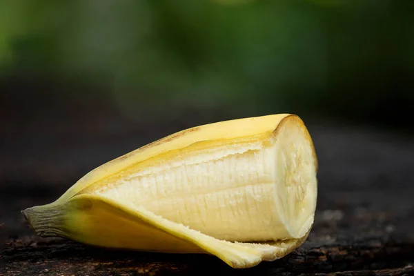 Cavendish Banana Deja Frutas Fondo Naturaleza — Foto de Stock