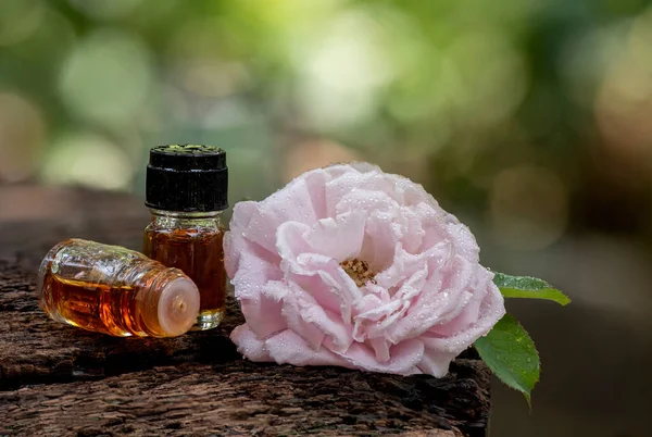 Aromatherapie Mit Damast Rosenblüte Und Parfüm Auf Grünen Blättern Bokeh — Stockfoto