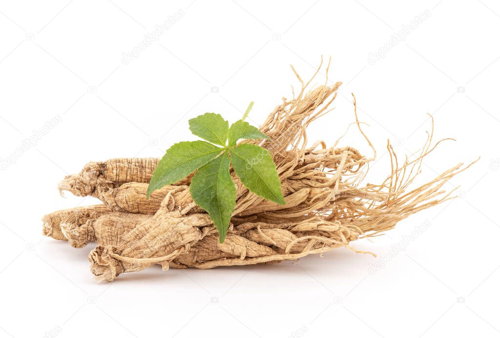 Ginseng and eleutherococcus trifoliatus green leaf on nature background.