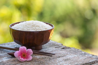 Japonlar, Bokeh doğa arka planında tohumlar yeşertiyor.