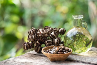 Hindistan tohumları ve doğal arka planda yağ. 