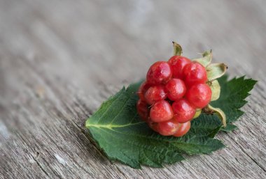 Eski ahşap bir arka planda Blackberry veya rubus fruticosus meyvesi.