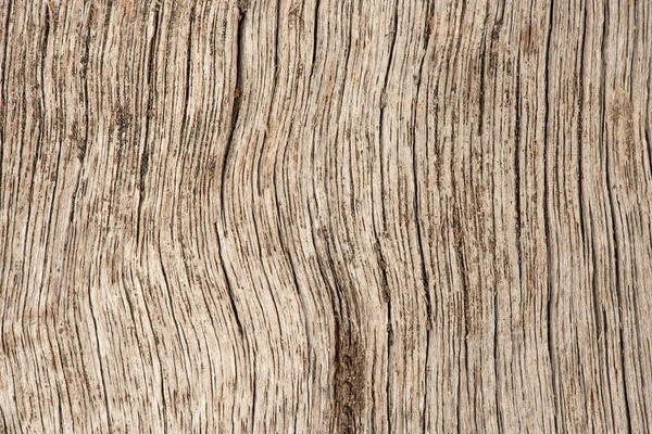 Old Plank Wood Isolated White Background — Stock Photo, Image