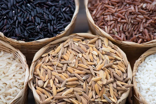 Rice,riceberry,jasmine brown rice ,jasmine red brown rice and paddy on nature background.