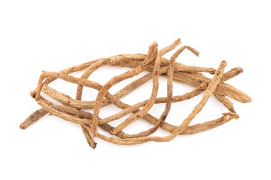 Salvia miltiorrhiza kırpma yolu ile beyaz arkaplanda izole edildi. Üst görünüm, düz yatıyordu.