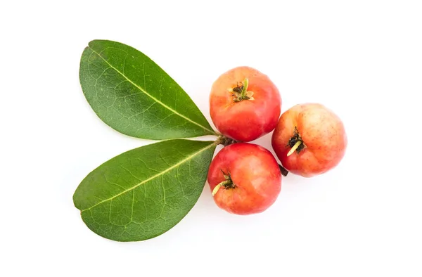 Buah Acerola Cherry Diisolasi Pada Latar Belakang Putih Stok Gambar Bebas Royalti