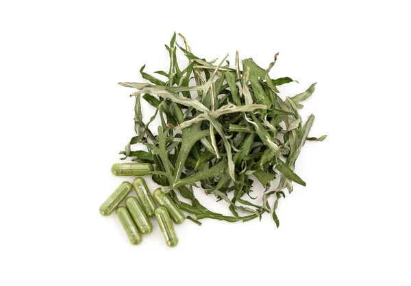 Medicina Alternativa Com Mugwort Artemisia Annua Isolado Vista Branca Background — Fotografia de Stock