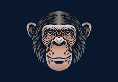 Şempanze baş illüstrasyonu, vektör, el çizimi, siyah arka planda izole edilmiş, Afrika hayvanı