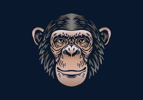 Chimpancé Cabeza Ilustración Vector Dibujado Mano Aislado Sobre Fondo Negro — Vector de stock