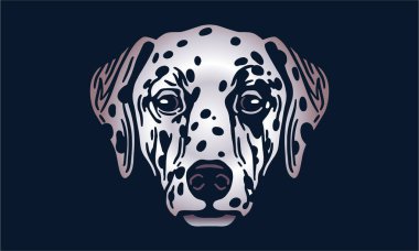 Dalmaçyalı baş illüstrasyon, vektör, el çizimi, siyah arka planda izole