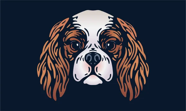Cavalier King Charles Spaniel Head Illustration Vector Hand Drawn Isolated — Image vectorielle