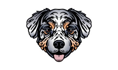 Avustralya çoban başı illüstrasyonu, vektör, el çizimi, ışık arkaplan izole