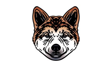 Akita Inu baş illüstrasyon, vektör, el çizimi, ışık arkaplan üzerinde izole