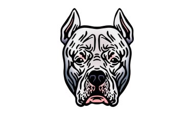 Arjantin Dogo baş illüstrasyon, vektör, el çizimi, ışık arkaplan izole