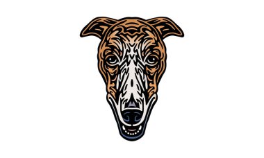 Borzoi baş illüstrasyon, vektör, el çizimi, ışık arkaplan izole