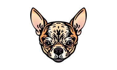 Chihuahua baş illüstrasyonu, vektör, el çizimi, ışık arka planında izole edilmiş.