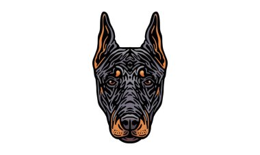 Doberman baş illüstrasyon, vektör, el çizimi, ışık arkaplan izole