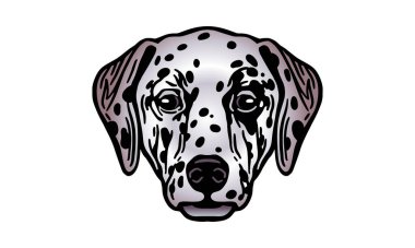 Dalmaçyalı baş illüstrasyonu, vektör, el çizimi, ışık arka planında izole edilmiş