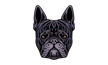 Fransız Bulldog baş illüstrasyonu, vektör, el çizimi, hafif arka planda izole edilmiş.