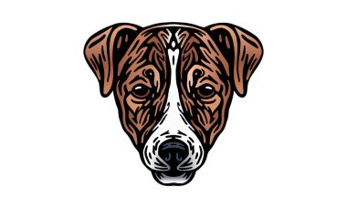 Jack Russell Terrier baş illüstrasyon, vektör, el çizimi, ışık arkaplan izole