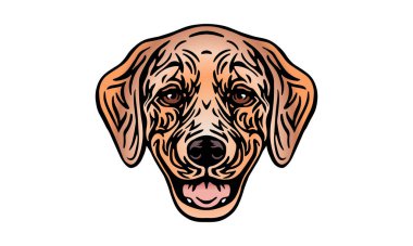 Golden Retriver baş illüstrasyonu, vektör, el çizimi, ışık arkaplan üzerinde izole