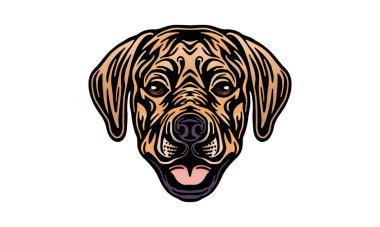 Labrador Retriever baş illüstrasyon, vektör, el çizimi, ışık arka planında izole