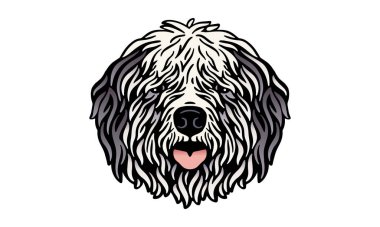 Eski İngilizce çoban köpeği baş illüstrasyonu, vektör, el çizimi, ışık arka planında izole edilmiş.