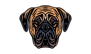 Mastiff baş illüstrasyonu, vektör, el çizimi, ışık arkaplan üzerinde izole