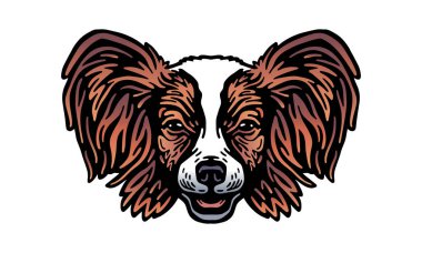 Papillon baş illüstrasyonu, vektör, el çizimi, ışık arka planında izole edilmiş.