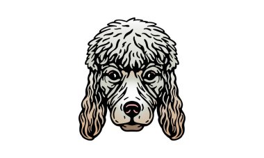 Kaniş başı illüstrasyonu, vektör, el çizimi, ışık arka planında izole edilmiş.