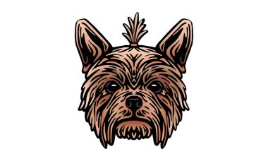 Yorkshire Terrier baş illüstrasyonu, vektör, el çizimi, ışık arkaplanı üzerinde izole