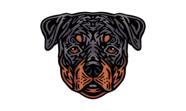 Rottweiler baş illüstrasyonu, vektör, el çizimi, ışık arka planında izole