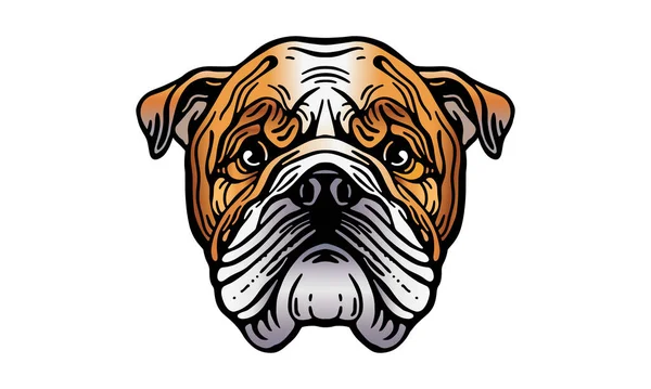 Bulldog Απεικόνιση Κεφάλι Διάνυσμα Χέρι Που Απομονώνονται Στο Φως Φόντο — Διανυσματικό Αρχείο