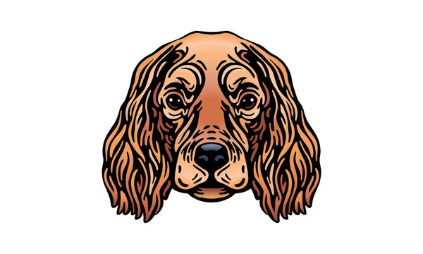 Englisch Cocker Spaniel Kopf Illustration Vektor Handgezeichnet Isoliert Auf Hellem — Stockvektor