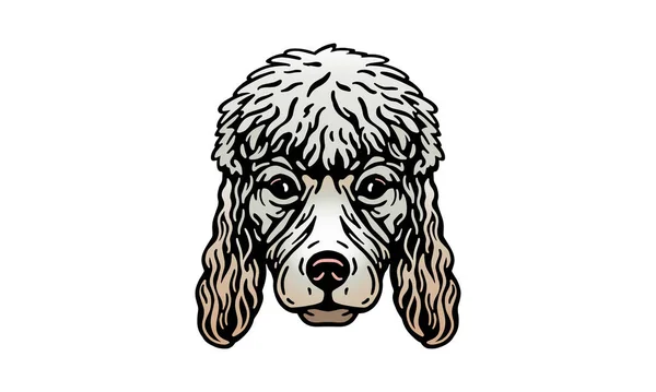 Poodle Head Illustration Vector Hand Drawn Isolated Light Background — Stockvektor