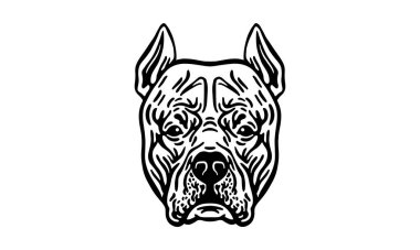 Arjantin Dogo baş illüstrasyon, vektör, el çizimi, siyah beyaz, ışık arkaplan izole