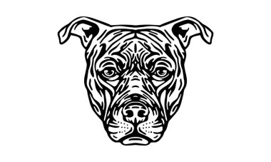 Amerikan Pitbull Teriyeri baş illüstrasyon, vektör, el çizimi, siyah beyaz, aydınlık zemin üzerinde izole