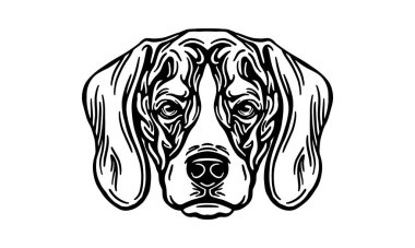 Beagle baş illüstrasyonu, vektör, el çizimi, siyah-beyaz, ışık arka planında izole edilmiş.