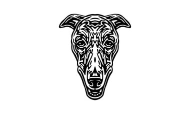 Borzoi baş illüstrasyon, vektör, el çizimi, siyah beyaz, ışık arkaplan üzerinde izole