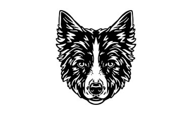 Border Collie baş illüstrasyonu, vektör, el çizimi, siyah ve beyaz, ışık arkaplan üzerinde izole