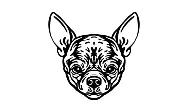 Chihuahua baş illüstrasyonu, vektör, el çizimi, siyah beyaz, ışık arka planında izole edilmiş.