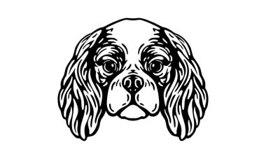 Şövalye Kral Charles Spaniel baş illüstrasyon, vektör, el çizimi, siyah beyaz, aydınlık zemin üzerinde izole