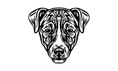 Jack Russell Terrier baş illüstrasyon, vektör, el çizimi, siyah beyaz, ışık arkaplan izole