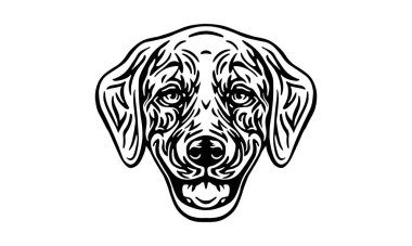 Golden Retriver baş illüstrasyonu, vektör, el çizimi, siyah ve beyaz, ışık arkaplan üzerinde izole